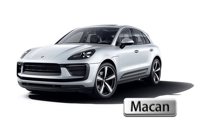 Macan